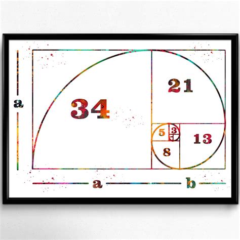 How To Draw Fibonacci Sequence at How To Draw