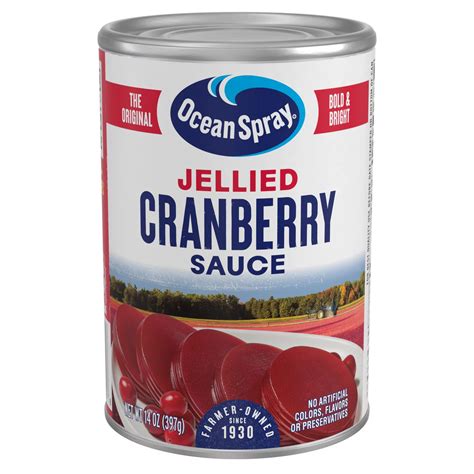 Ocean Spray Jellied Cranberry Sauce - Shop Berries & cherries at H-E-B