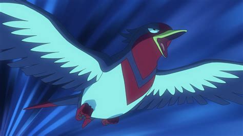 Ash's Swellow | Pokémon Wiki | FANDOM powered by Wikia