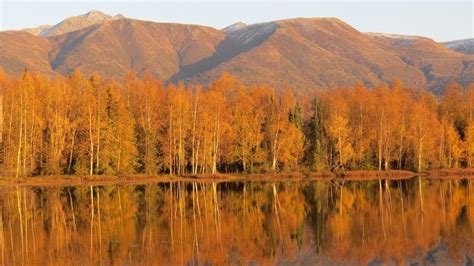 23 Gorgeous Spots Of Where To See Fall Foliage In Alaska