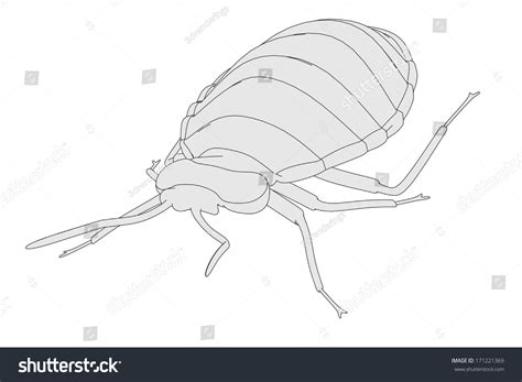 Cartoon Image Bed Bug Stock Illustration 171221369 | Shutterstock