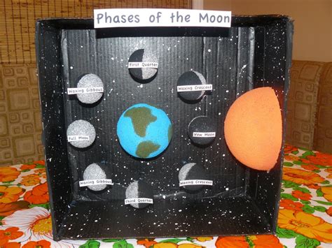 phases of the moon projects | Miss M's science project, phases of the moon. | Science/Social ...