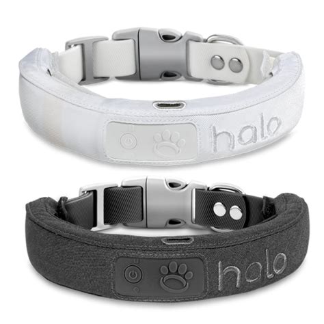 Shop GPS Wireless Dog Fences - New Halo Collar 4 | Halo Collar