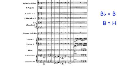 Orchestral Score