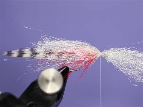 Bloody minnow streamer fly - How to tie fly, Fly tying Step by Step Patterns & Tutorials