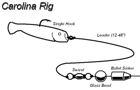 How to Rig a Carolina Rig Worm - Total Freshwater Fishing