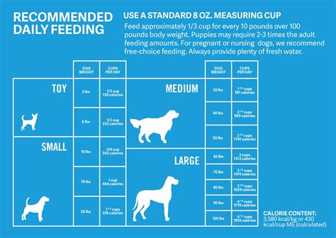 How Much Should Dogs Eat? | Calculate How Much to Feed Your Dog | PetMD