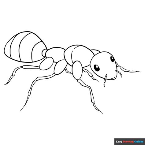 Ant Coloring Page | Easy Drawing Guides