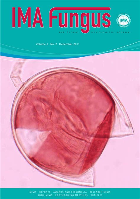 (PDF) Advances in Glomeromycota taxonomy and classification