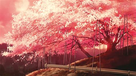 Red Gif Background Anime - img-woot