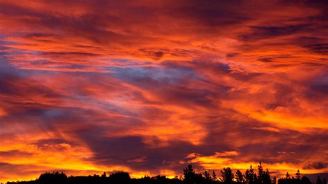 Sunset Sky Trees Bushes Clouds 4K HD Wallpapers | HD Wallpapers | ID #32393