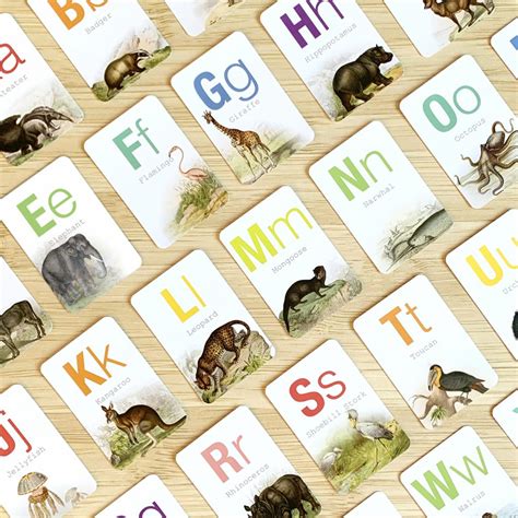 Animal Alphabet Flashcards - Wonderful Whirl