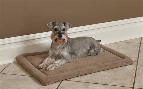 What Are The Best Dog Beds For Crates? | BARK