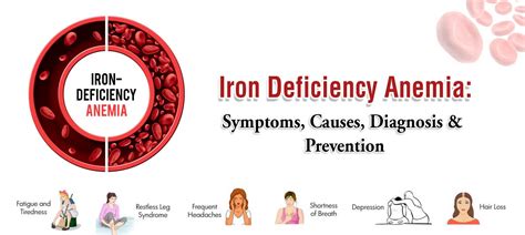 Iron Deficiency Anemia: Symptoms, Causes, Diagnosis & Prevention-Medplusmart