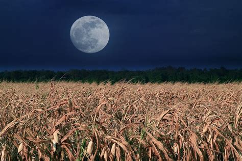 Harvest moon 2023 will be last supermoon of year. Solar eclipse up next. - nj.com