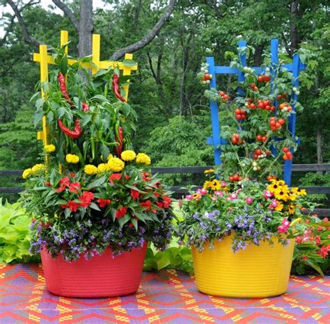 22 Stunning Container Vegetable Garden Design Ideas & Tips