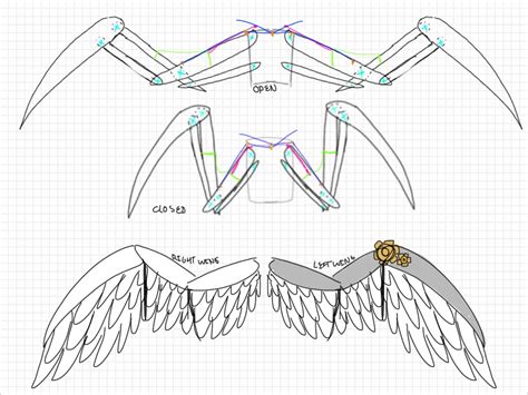 Edward articulated wings (wing blueprints) by Major-FURsonality on ...