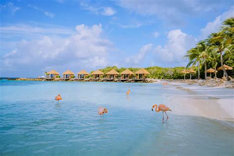 13 Top-Rated Things to do in Aruba| Attractions, and Activities - Holiday Parrots