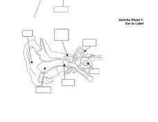 Activity Sheet 1: Ear to Label Worksheet for 5th - 12th Grade | Lesson Planet