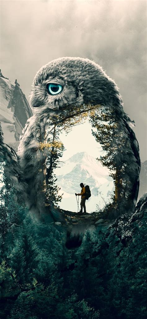 Mystic Owl | Scenery wallpaper, Owl wallpaper iphone, Owl wallpaper