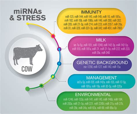 Frontiers | MicroRNAs as Biomarkers for Animal Health and Welfare in Livestock