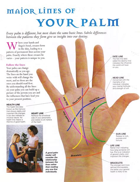 Major lines of your palm | Palm reading, Palmistry reading, Palmistry