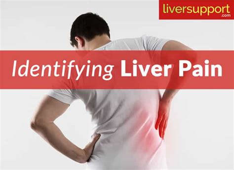 Liver Pain Symptoms Location