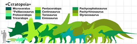 Ceratopsian Size Chart | Prehistoric creatures, Prehistoric, Paleo art