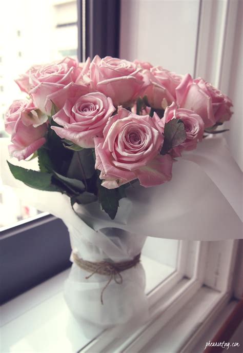 Pale Pink Roses | Pheuron Tay: Singapore Lifestyle & Travel Blog Since 2013