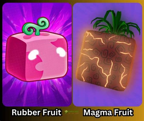 Is Rubber Fruit Better Than Magma? Guide For Beginners