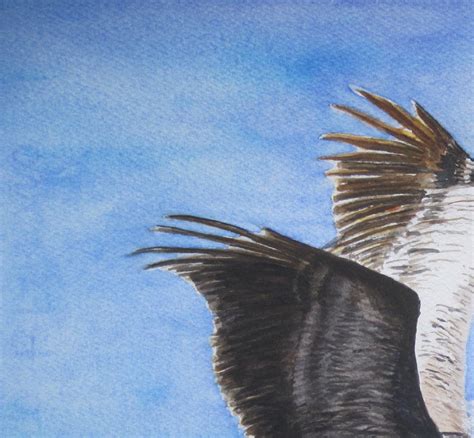 Flying Pelican Watercolor Painting Coastal Decor Anna Maria | Etsy