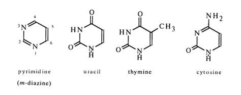 Pyrimidine - Alchetron, The Free Social Encyclopedia