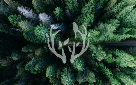 nature photography logo on Behance