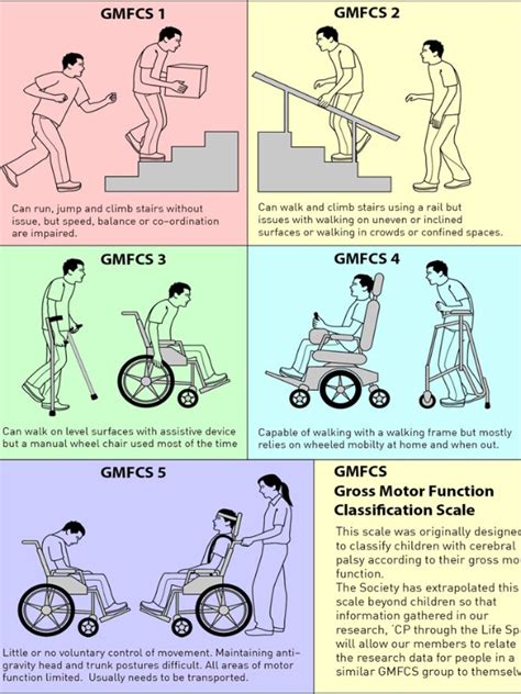 Types of Cerebral Palsy - Cerebral Palsy Society