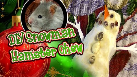 DIY Snowman Hamster Chew Toy (read desc.) - YouTube