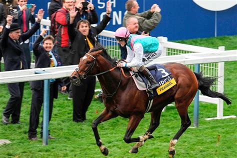 Frankel the Racehorse Photos, Posters & Prints | Horse Racing Photos