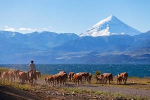 Explore the Argentine Pampas | Auto Europe