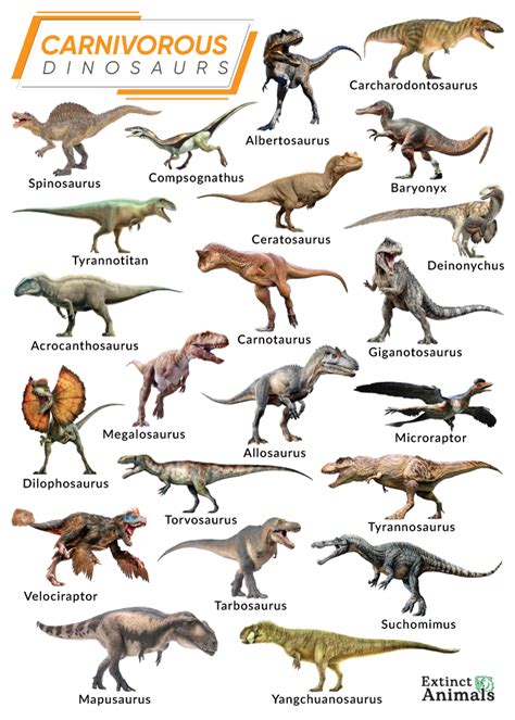 Carnivorous Dinosaurs Size Chart