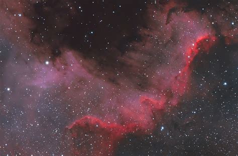 The Cygnus Wall in NGC 7000 - VisibleDark