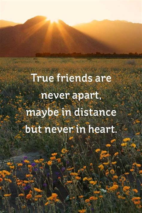 60 True Friendship Quotes – Best Friends Forever Quotes – BoomSumo