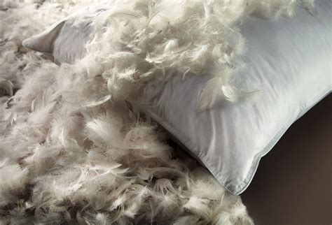 7 Best Feather Pillows Reviewed in Detail (Fall 2023)