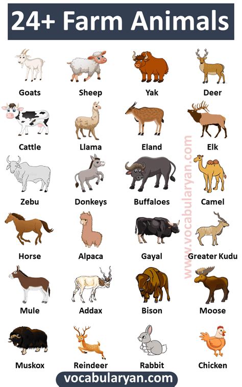 24+ List of Farm Animals Vocabulary – VocabularyAN