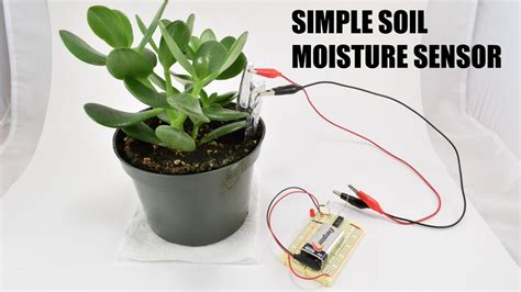 Simple Soil Moisture Sensor Circuit | Science Project - YouTube