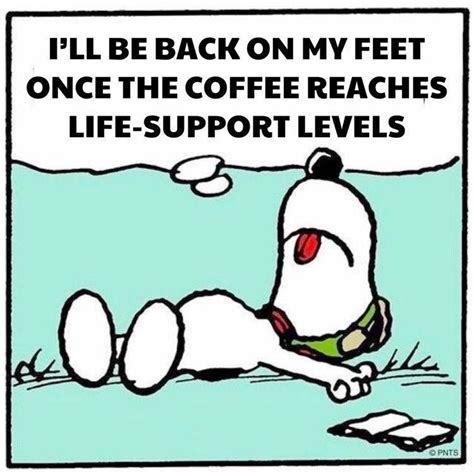 Snoopy Images, Snoopy Pictures, Funny Pictures, I Love Coffe, Coffee Is Life, Coffee Coffee ...