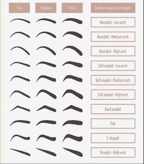 So many brow options! | Augenbrauenformen, Augenbrauen formen, Einfädeln von augenbrauen