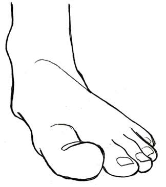 Toe Drawing at GetDrawings | Free download