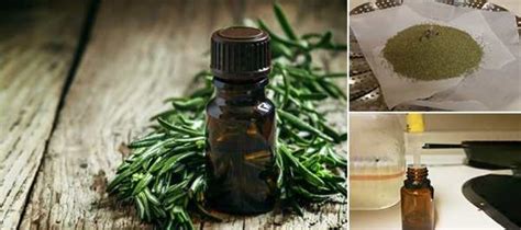 How To Make Tea Tree Oil To Treat Infections - Ask a Prepper