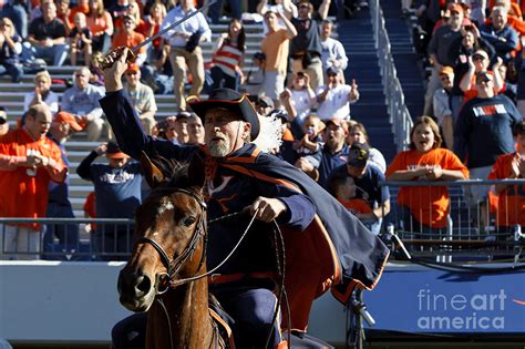 University of Virginia Mascot Virginia Cavaliers Photograph by Jason O Watson | Fine Art America