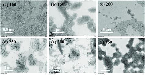 TEM images of block copolymer nanoparticles prepared by the aqueous... | Download Scientific Diagram