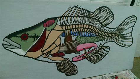 Largemouth Bass internal anatomy mural by corvus16 on DeviantArt